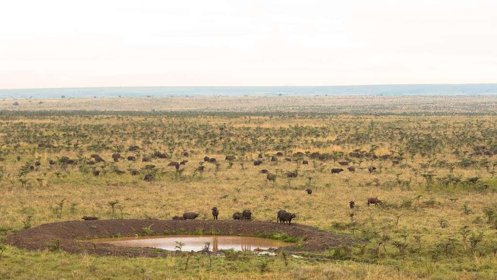 Ole Sereni Nairobi Exterior foto